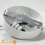 Подвесной светильник Lussole Loft Berta LSP-0179 - Фото 3