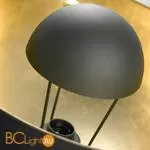 Торшер Lussole Loft Bollo LSP-9824 - Фото 1