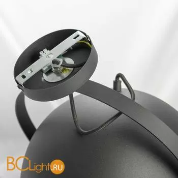 Потолочный светильник Lussole Loft Bollo LSP-9825 - Фото 1