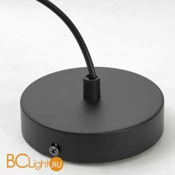 Подвесной светильник Lussole Loft Bonny LSN-5416-01 - Фото 6