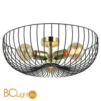 Потолочный светильник Lussole Loft Brooks GRLSP-8251