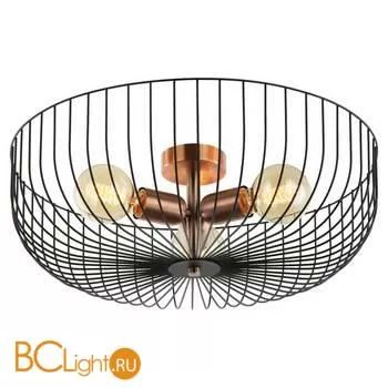 Потолочный светильник Lussole Loft Brooks GRLSP-8250