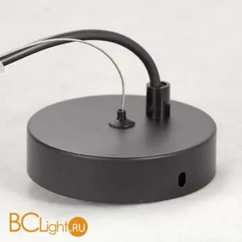 Подвесной светильник Lussole Loft Bullock LSP-8408 - Фото 2