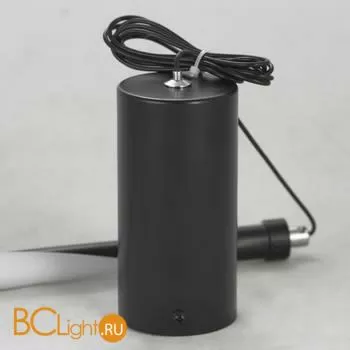 Подвесной светильник Lussole Loft Cass LSP-8426 - Фото 2