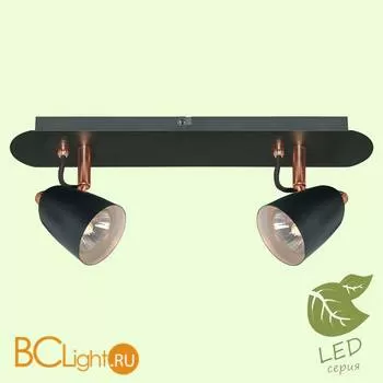 Потолочный светильник Lussole Loft Cauldron GRLSP-9852