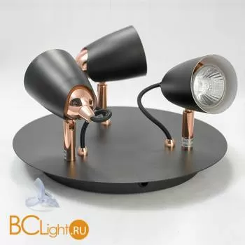 Спот (точечный светильник) Lussole Loft Cauldron LSP-9853 - Фото 0
