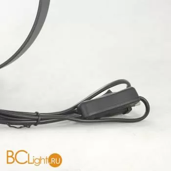 Настольный светильник Lussole Loft Clarke LSP-0602 - Фото 4