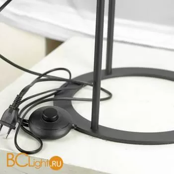 Торшер Lussole Loft Clarke LSP-0599 - Фото 1