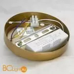 Люстра Lussole Loft Coosa LSP-8656 - Фото 5