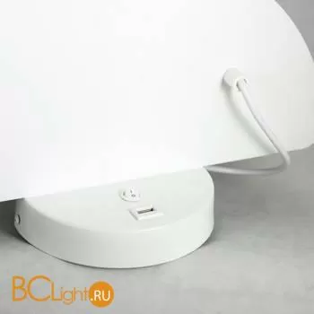 Настенный светильник Lussole Loft Cozy LSP-8231 - Фото 1