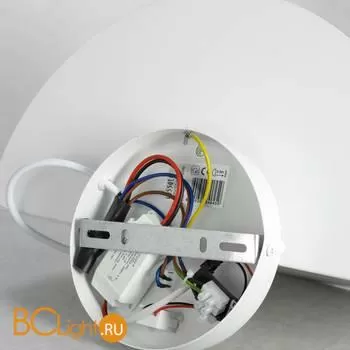 Настенный светильник Lussole Loft Cozy LSP-8231 - Фото 2