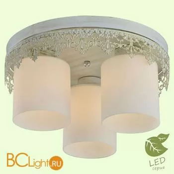 Потолочный светильник Lussole Loft Desert GRLSP-0049