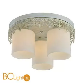 Потолочная люстра Lussole Desert LSP-0049