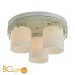 Потолочная люстра Lussole Desert LSP-0049