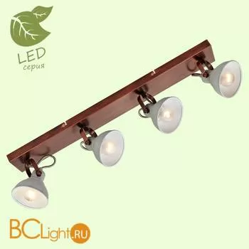 Потолочный светильник Lussole Loft Diana GRLSP-9829