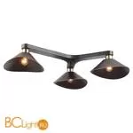 Потолочная люстра Lussole Loft Dina LSP-9534
