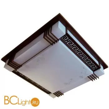 Потолочный светильник Lussole Loft Dort LSP-1015