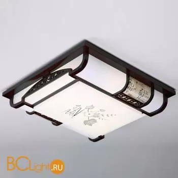 Потолочный светильник Lussole Loft Dort LSP-1022