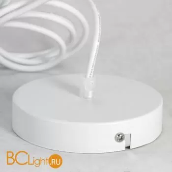 Подвесной светильник Lussole Loft Dove LSP-8220 - Фото 4