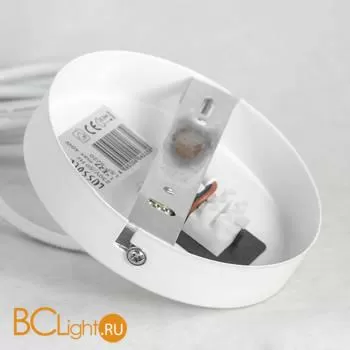 Подвесной светильник Lussole Loft Dove LSP-8220 - Фото 5