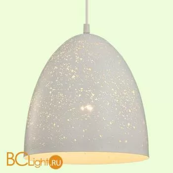 Подвесной светильник Lussole Loft Ecodome GRLSP-9891