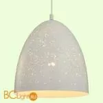 Подвесной светильник Lussole Loft Ecodome GRLSP-9891