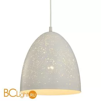 Подвесной светильник Lussole Loft Ecodome LSP-9891