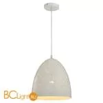 Подвесной светильник Lussole Loft Ecodome LSP-9891 - Фото 0