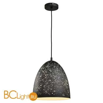 Подвесной светильник Lussole Loft Ecodome LSP-9892 - Фото 0