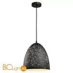 Подвесной светильник Lussole Loft Ecodome LSP-9892 - Фото 0