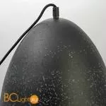 Подвесной светильник Lussole Loft Ecodome LSP-9892 - Фото 3