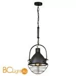 Подвесной светильник Lussole Loft Emma LSP-9989 - Фото 0