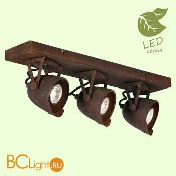 Потолочный светильник Lussole Loft Expression GRLSP-9508