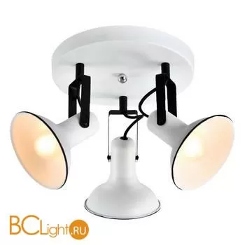 Спот Lussole Loft FARGO LSP-8803