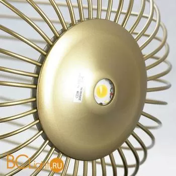 Подвесной светильник Lussole Loft Gabbia LSP-8358 - Фото 4