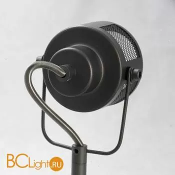 Потолочный светильник Lussole Loft Haines LSP-8047 - Фото 0