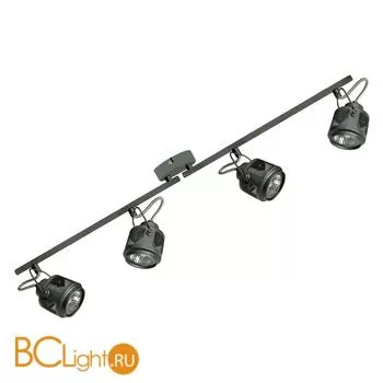 Потолочный светильник Lussole Loft Haines LSP-8047