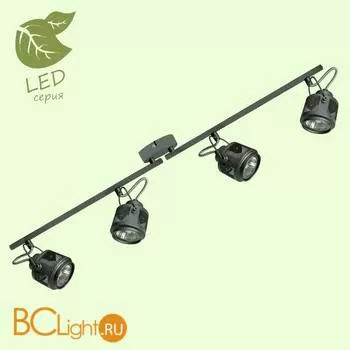 Потолочный светильник Lussole Loft Haines GRLSP-8047