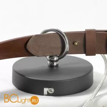 Подвесной светильник Lussole Loft Harukage LSP-8044 - Фото 5