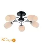 Потолочная люстра Lussole Honey LSP-0153