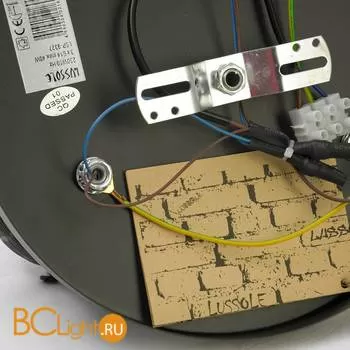 Потолочная люстра Lussole Horn LSP-9327 - Фото 2