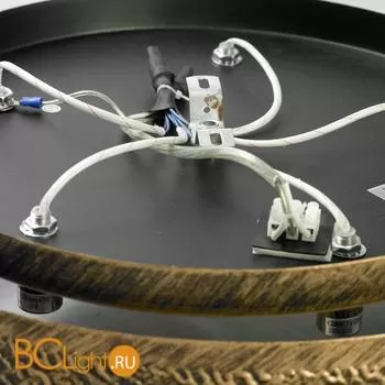 Потолочный светильник Lussole Loft Ink LSP-8025 - Фото 1