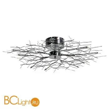 Потолочный светильник Lussole Invernale LSQ-9007-10