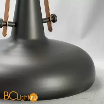 Подвесной светильник Lussole Loft Irida LSP-9814 - Фото 4