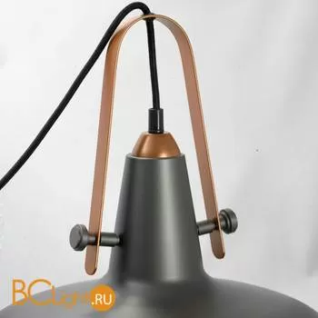 Подвесной светильник Lussole Loft Irida LSP-9814 - Фото 1