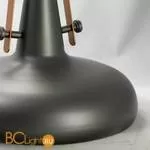 Подвесной светильник Lussole Loft Irida LSP-9814 - Фото 4