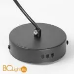 Подвесной светильник Lussole Loft IRVINE LSP-7081 - Фото 4