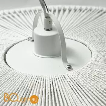 Подвесной светильник Lussole Loft Julia LSP-9849 - Фото 1