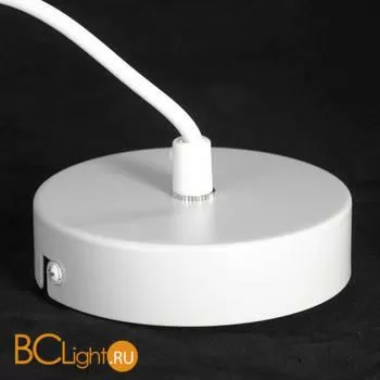 Подвесной светильник Lussole Loft Kodiak LSP-8417 - Фото 3