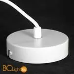 Подвесной светильник Lussole Loft Kodiak LSP-8417 - Фото 3